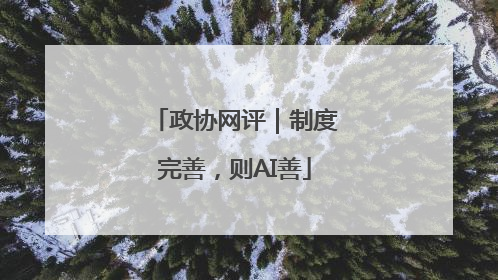 政协网评｜制度完善，则AI善